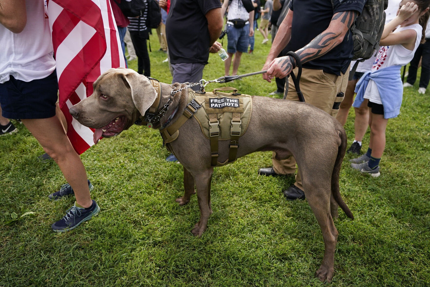 Capitol Breach Rally